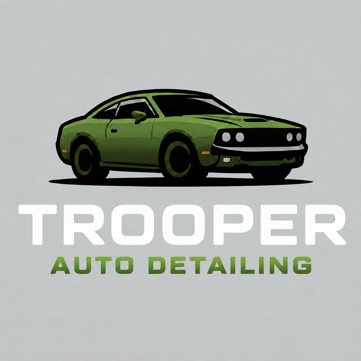 Trooper Auto Detailing logo